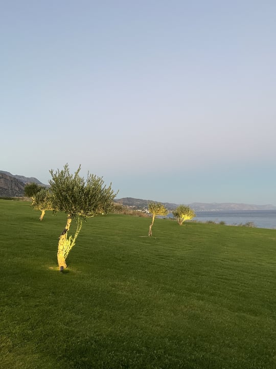Gartenanlage ROBINSON IERAPETRA
