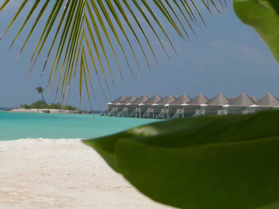 Strand Safari Island Maldives