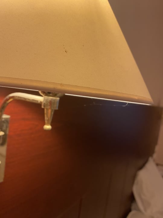 Zimmer Apollon Hotel