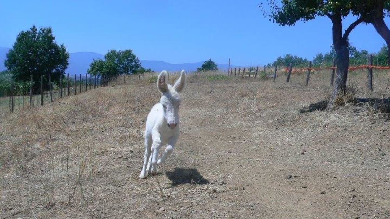 Ginevra B&B La Casa Nella Prateria