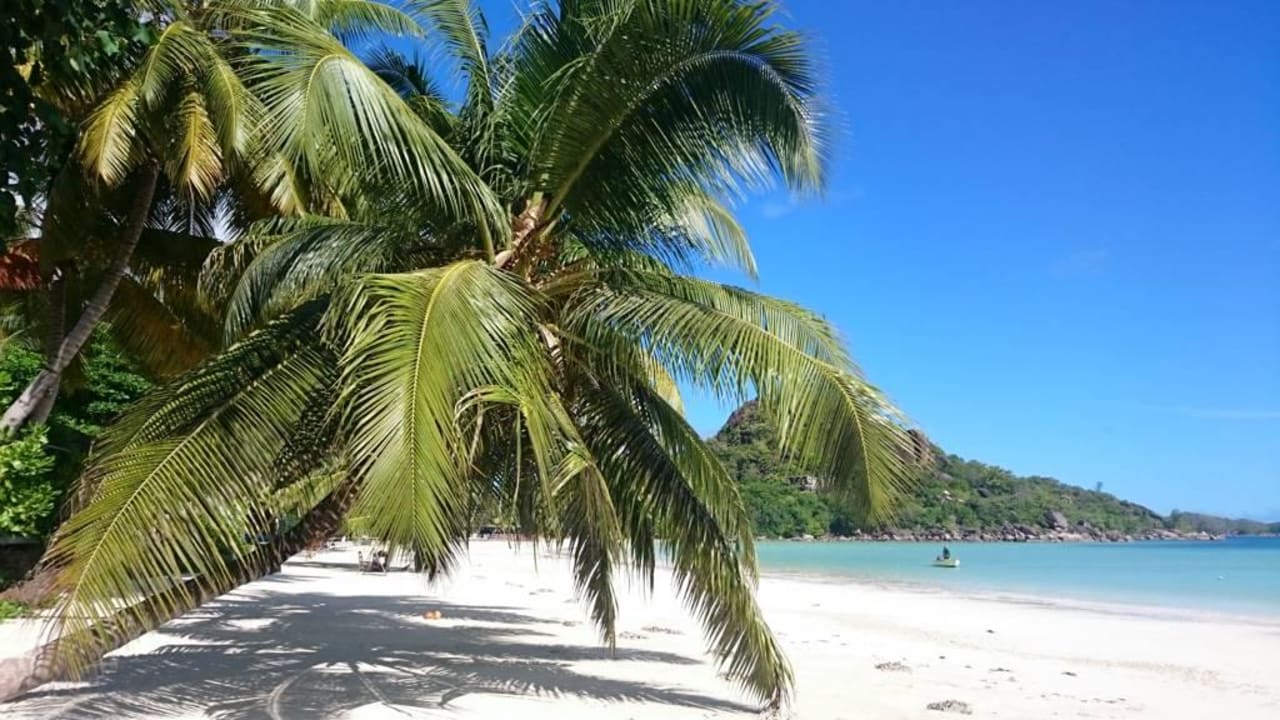 Hotel beach Paradise Sun