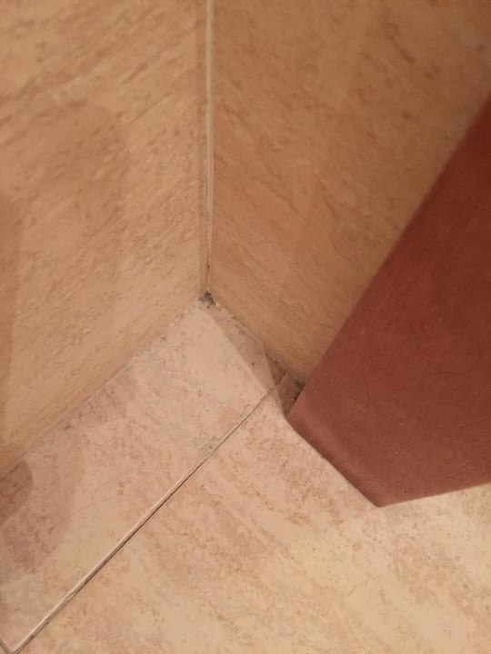 Schmutzige Ecken AluaSoul Palma