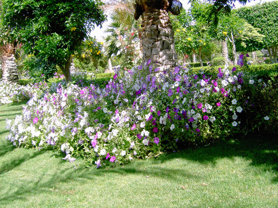 Gartenanlage Fantazia Resort Marsa Alam