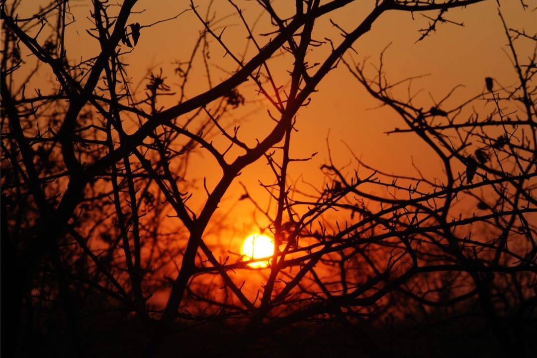 Sonnenaufgang Etosha Village