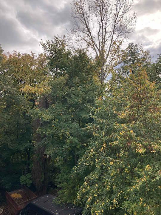 Ausblick Best Western Hotel Windorf
