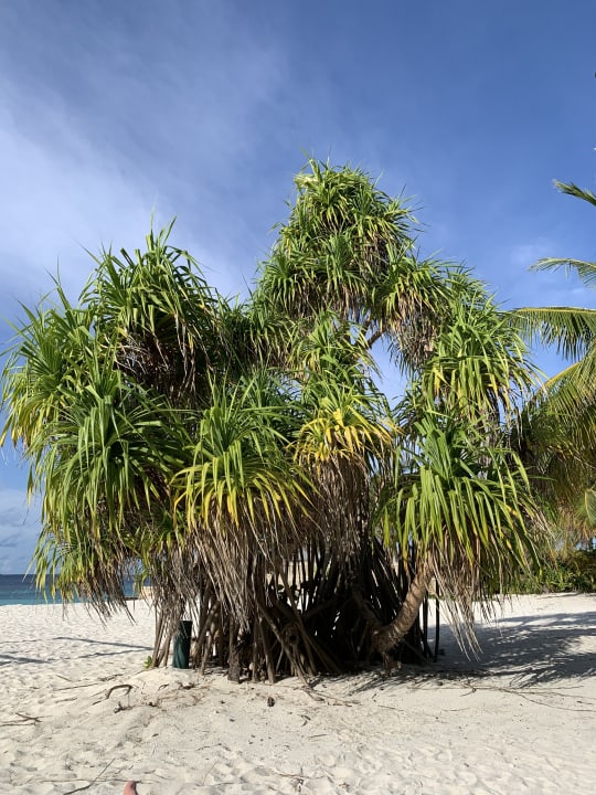 Strand Adaaran Select Meedhupparu Island Resort - Premium All Inclusive