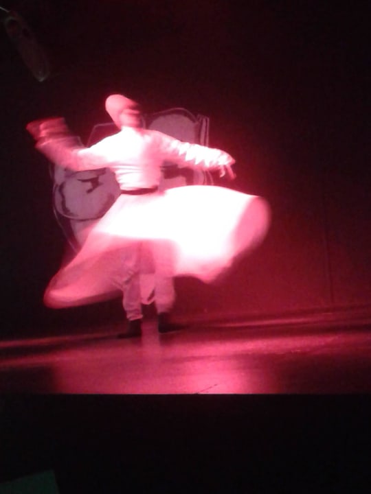 Abendshow Can Garden Resort