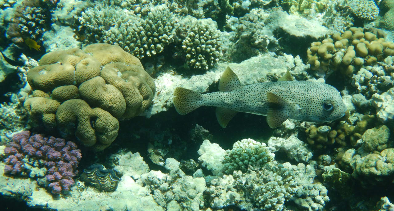 Sport & Freizeit Grand Makadi