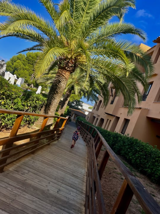 Sonstiges Insotel Club Tarida Playa