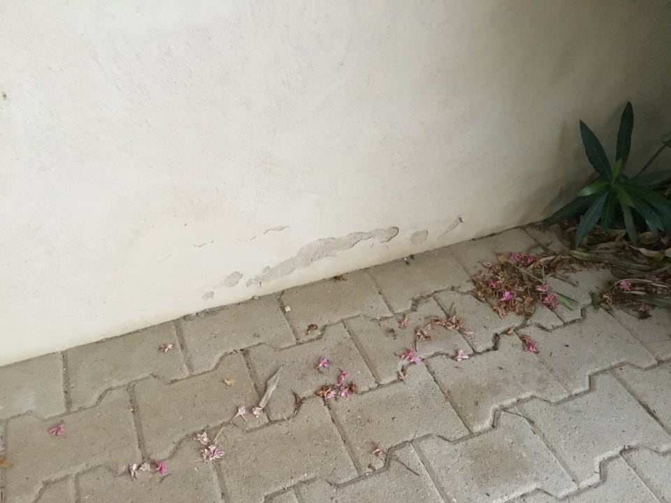 Außenansicht Apartments Le Mas De Torreilles