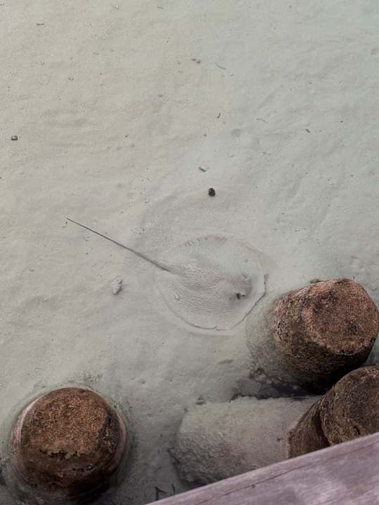 Sonstiges Jawakara Islands Maldives