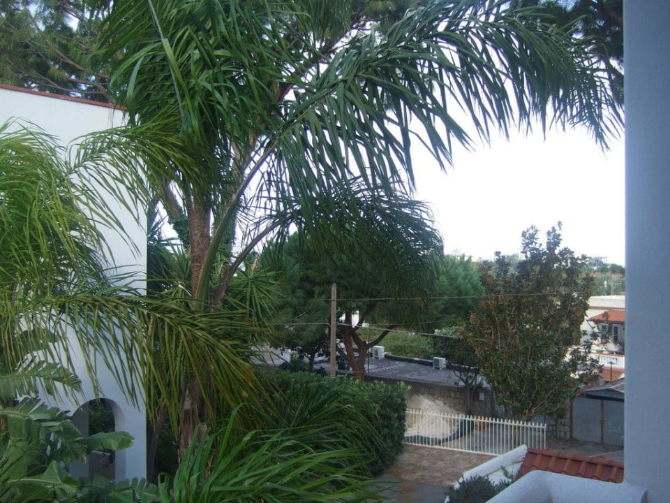 Aussicht vom Balkon Poggio Aragosta