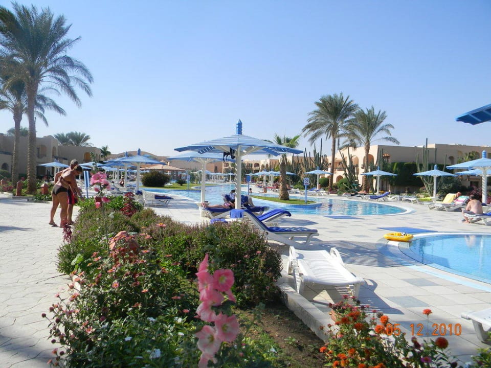 Бассейн Ali Baba Palace Hotel