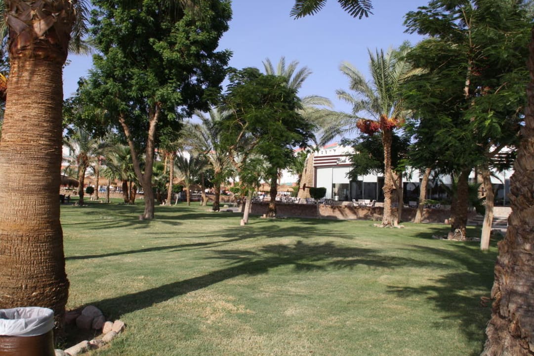 Garten Albatros Sharm Resort