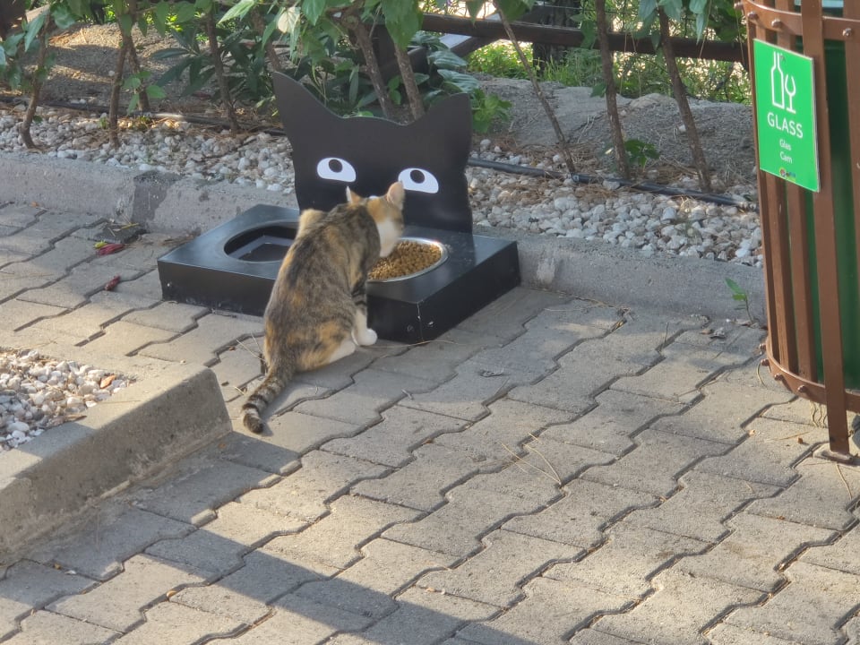 Sonstiges TUI BLUE Seno - Adults Only