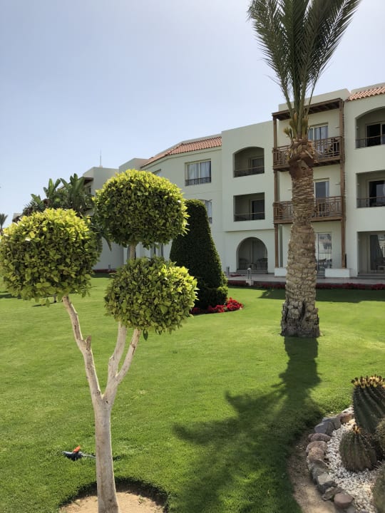 Gartenanlage Pickalbatros Dana Beach Resort - Hurghada