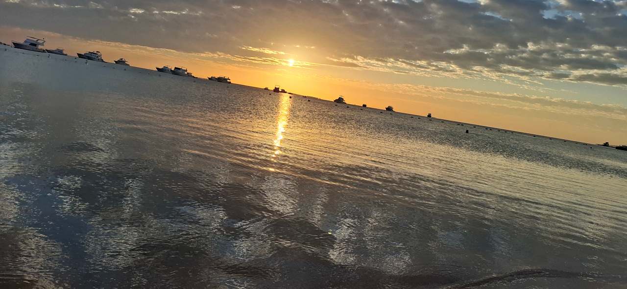 Ausblick The Grand Palace - Adults only