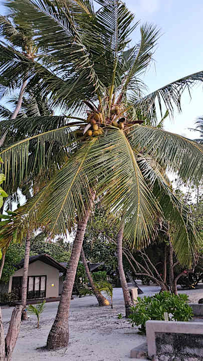 Zimmer Adaaran Select Hudhuran Fushi - Premium All Inclusive