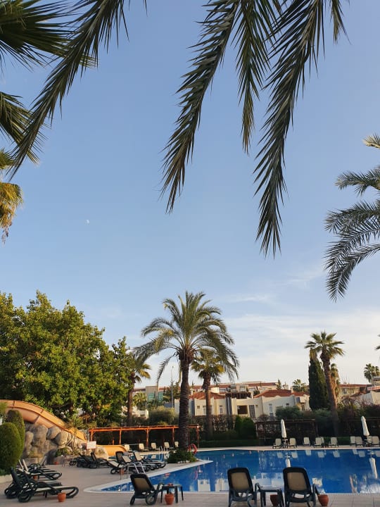 Sport & Freizeit Side Star Elegance