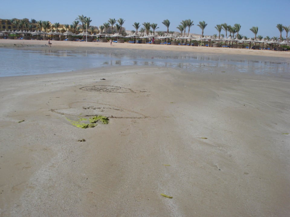 Mitten im "Meer" Jaz Dar EL Madina