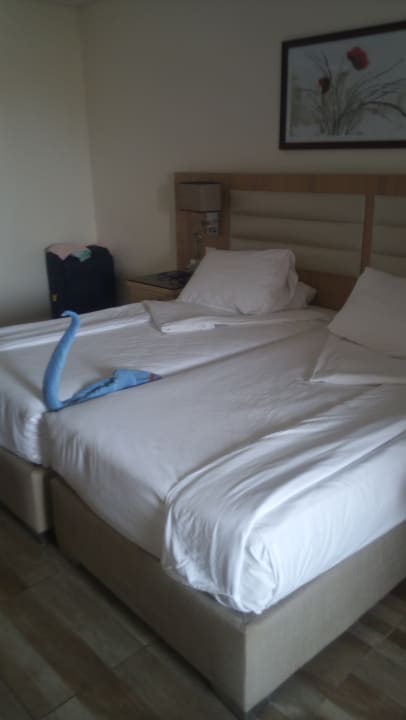 Zimmer Pickalbatros Aqua Vista Resort - Hurghada