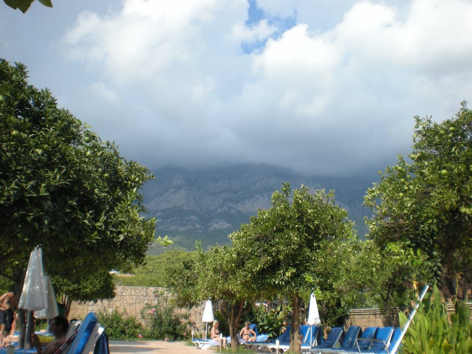 Pool mit Aussicht auf das Taunusgebirge Armas Gül Beach