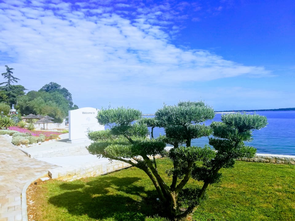 Gartenanlage Isabella Island Resort Valamar Collection