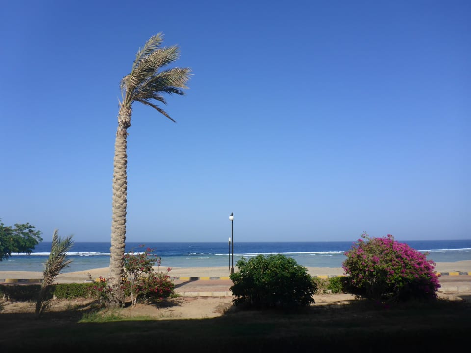 Strand Malikia Resort Abu Dabbab