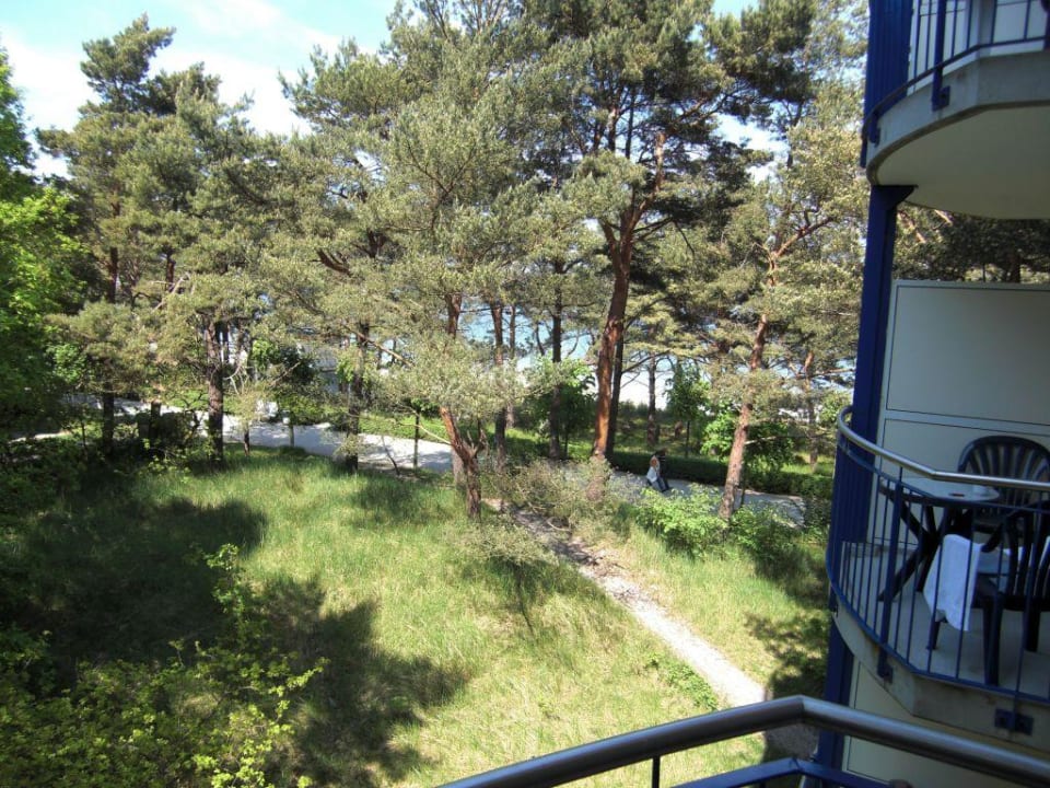 Aussicht vom Balkon IFA Rügen Hotel & Ferienpark