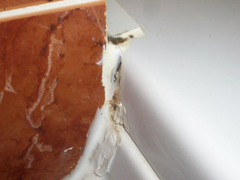 Suite 1305: noch Schimmelpils Helena Sands