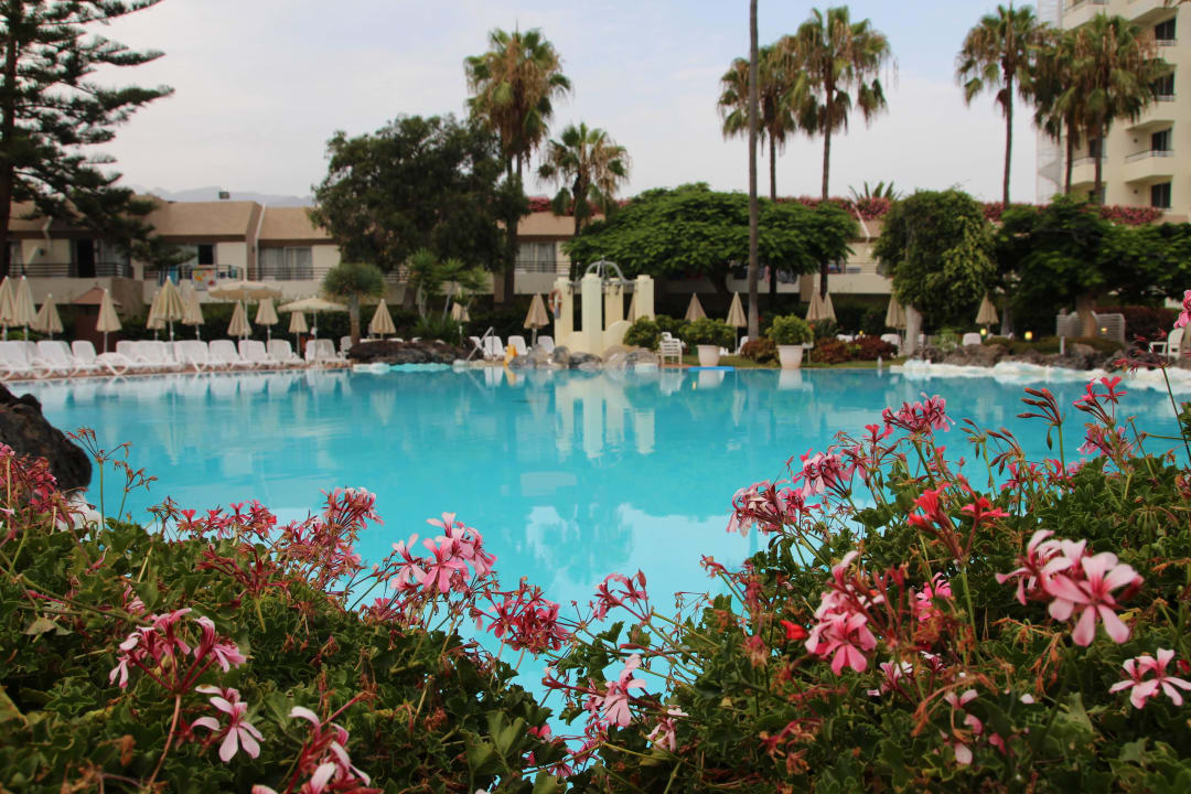 Hôtel H10 Las Palmeras - La Piscine 2015 H10 Las Palmeras