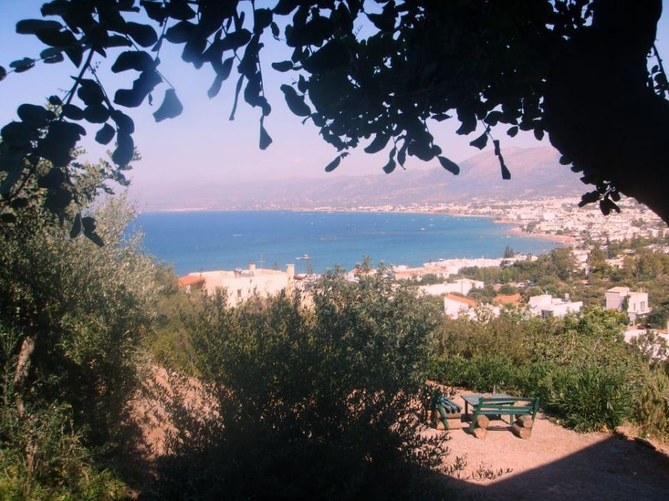 Aussicht vom Hotel Hotel Heliotrope