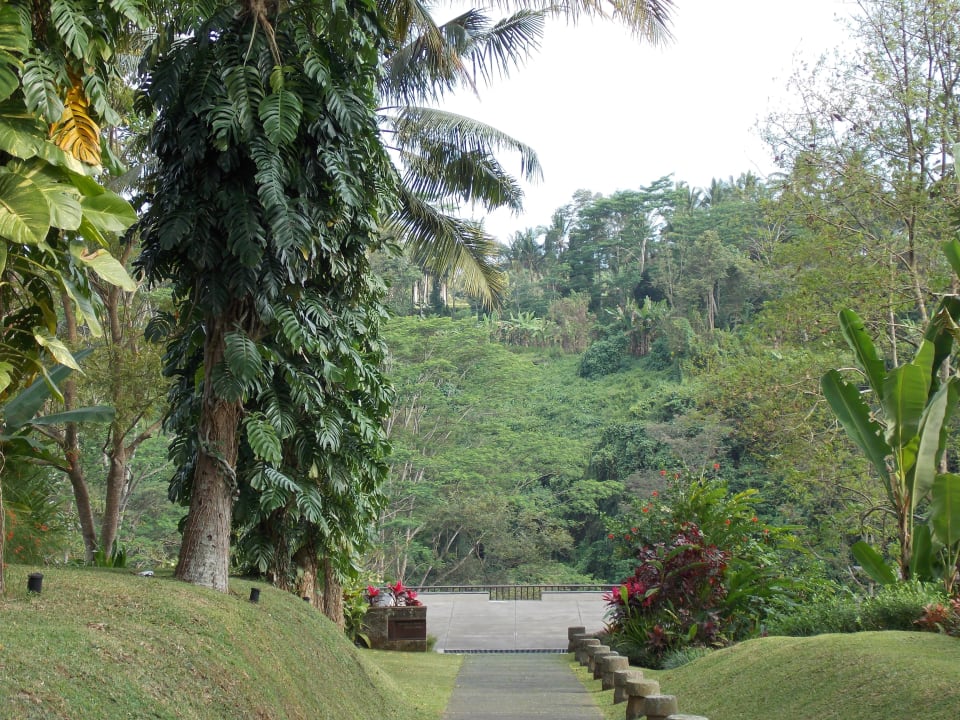 Gartenanlage - Weg zum kleinen Pool und Spa Maya Ubud Resort & Spa Bali
