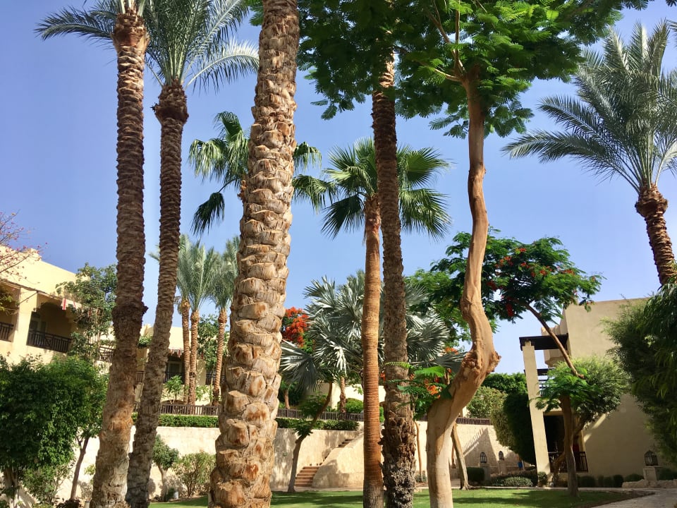 Gartenanlage The Grand Hotel Sharm El Sheikh