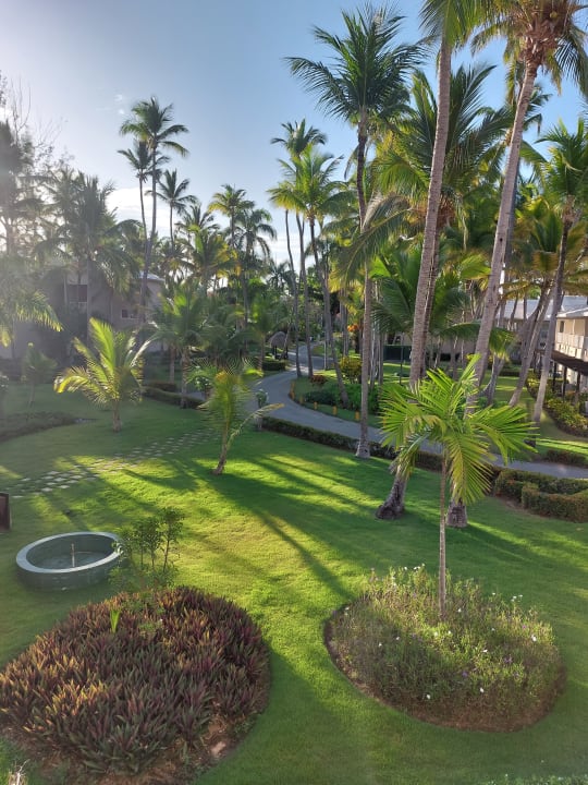 Gartenanlage Grand Palladium Select Bávaro Resort & Spa
