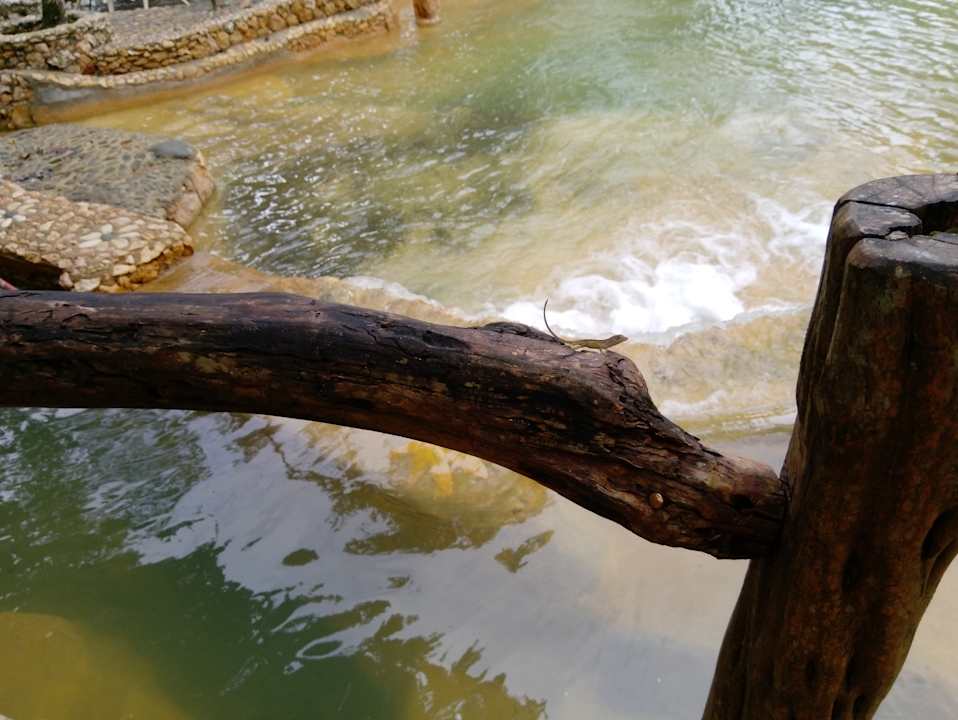 Sonstiges B&B Paraiso Caño Hondo