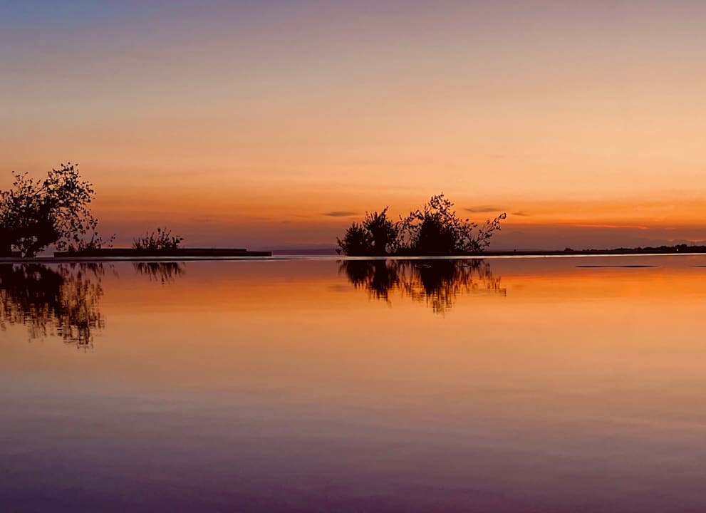 Gartenanlage King Jason Zante – Designed for Adults