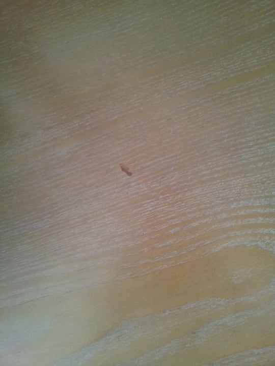 War die ganze Wo. auf dem Tisch im Zimmer Sol Arona Tenerife