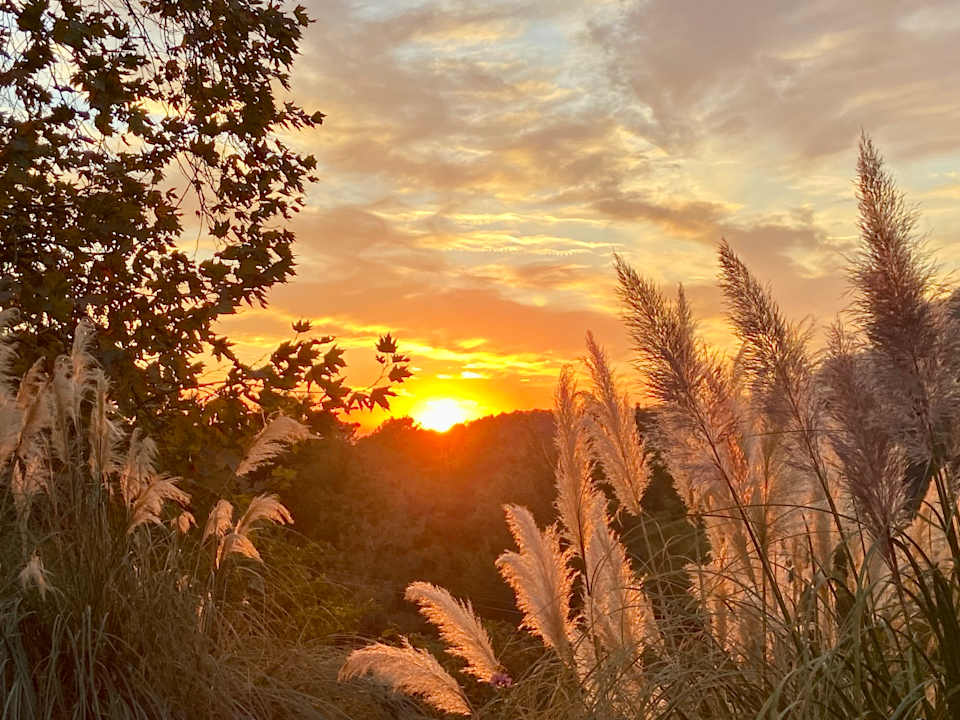Ausblick Montana Pine Resort