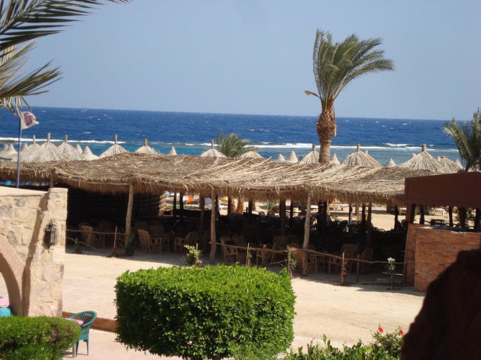 Mittags- umd Kaffeebüffet Utopia Beach Club