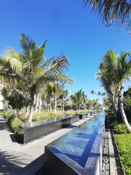 Gartenanlage Lopesan Costa Bávaro Resort, Spa & Casino