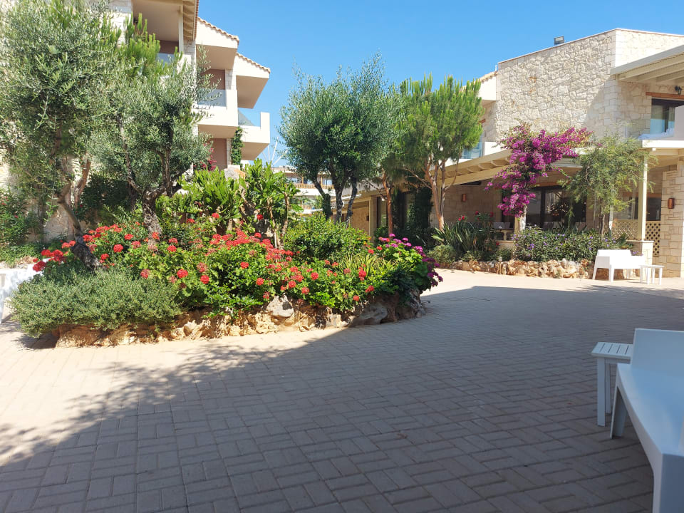 Gartenanlage Cactus Royal