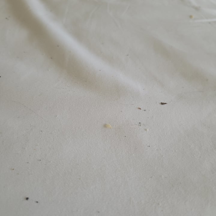 Zimmer Kalypso Cretan Village Sense Resort & Spa