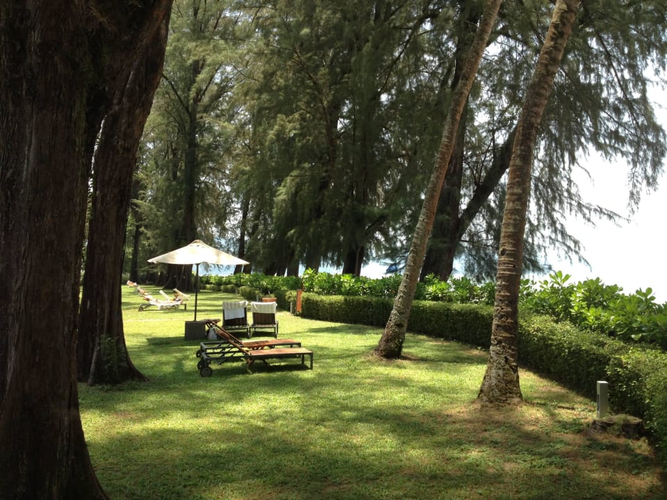 Small garden Lone Pine Hotel