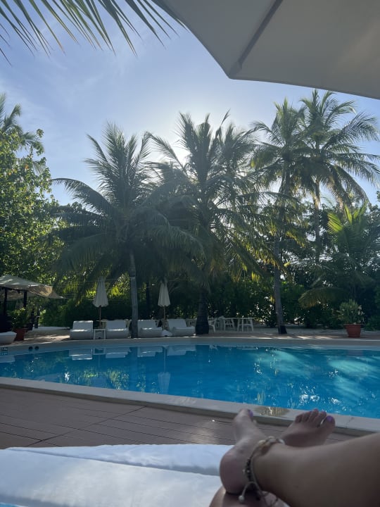 Pool Safari Island Maldives