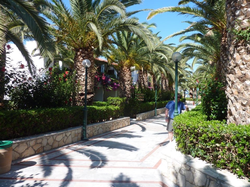 Allées dans l'hôtel Annabelle Beach Resort