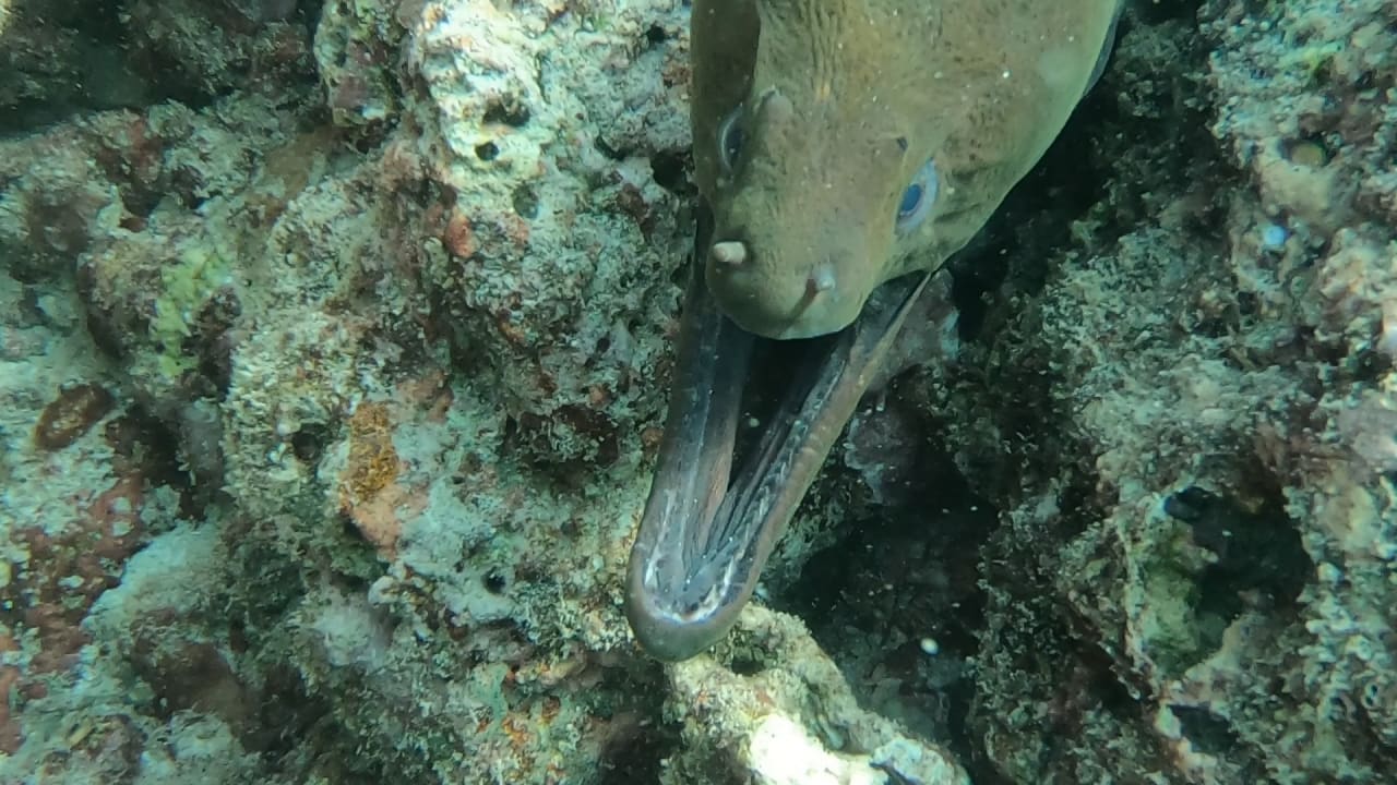 Sport & Freizeit NH Collection Maldives Reethi Resort