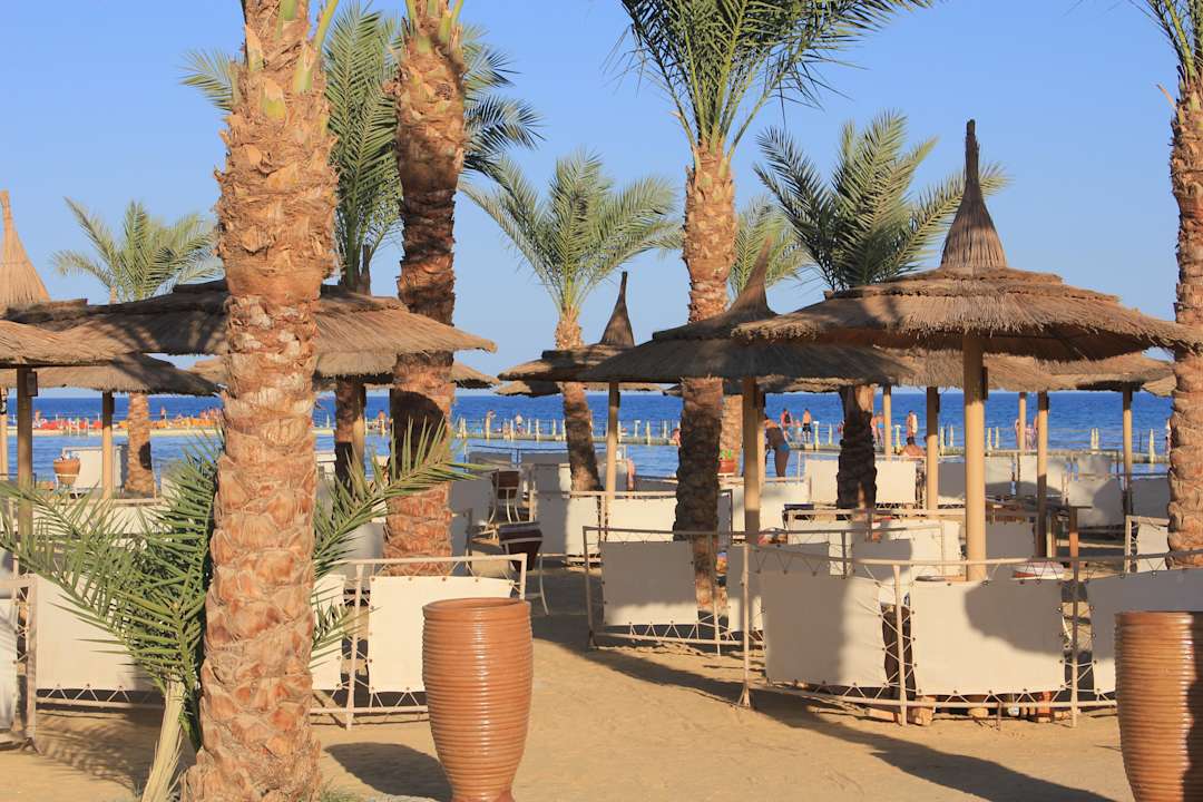 Der Hotelstrand Pickalbatros Palace Resort