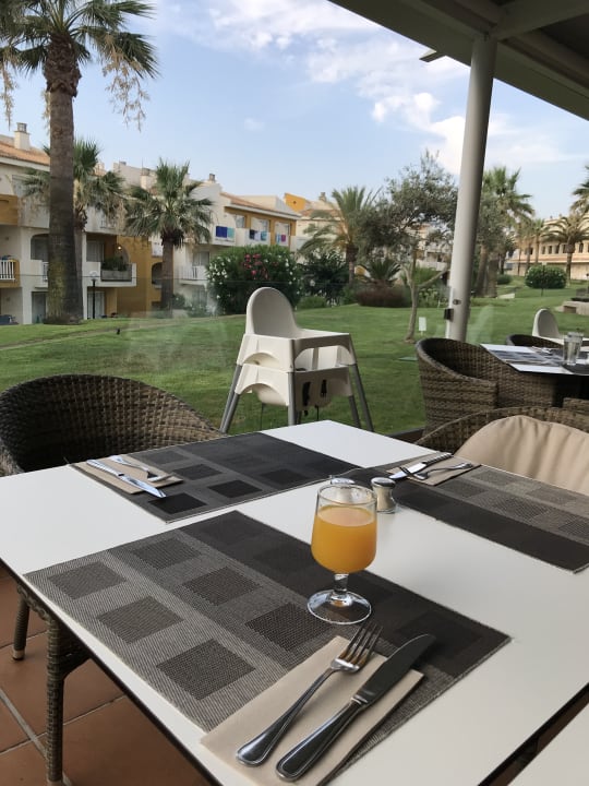 Gastro blau punta reina