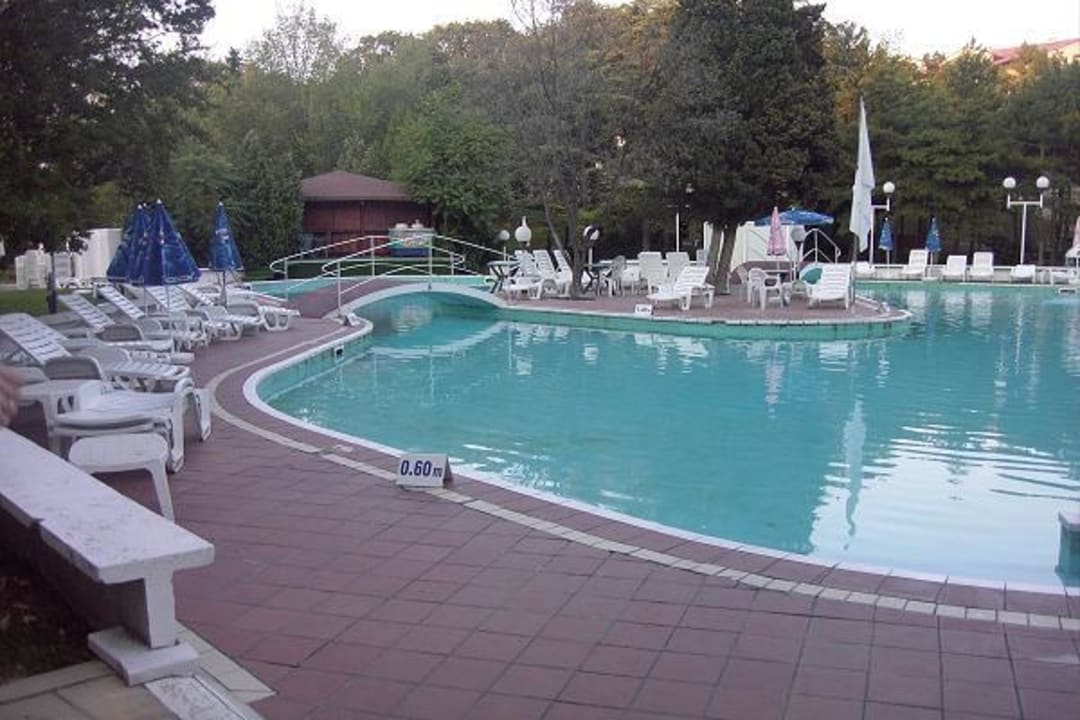Pool  Hotel Lebed